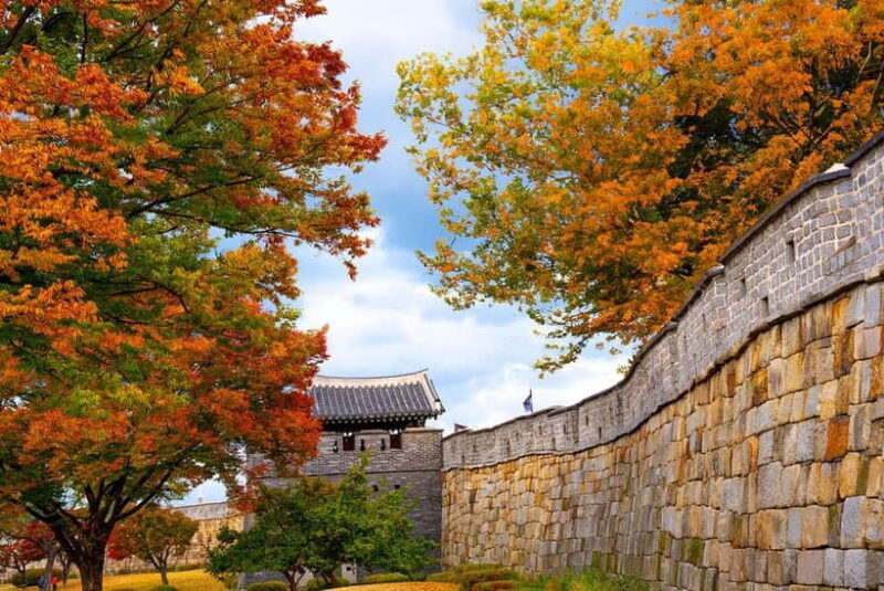 Seoul: Suwon Hwaseong Fortress & Korean Folk Village Tour - Who Should Consider This Tour?