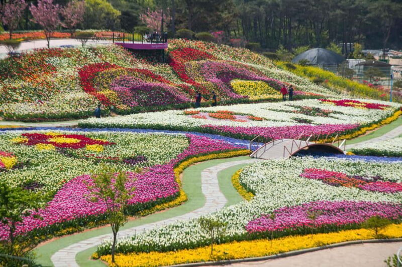 Seoul: Taean Tulip Festival and Strawberry Picking Day Tour - Final Thoughts