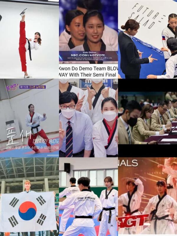 Seoul: Taekwondo Experience with National Champion - An In-Depth Look at the Taekwondo Experience in Seoul