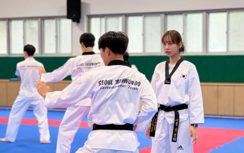 Seoul: Taekwondo Experience with National Champion - The Instruction: Learning from a Champion