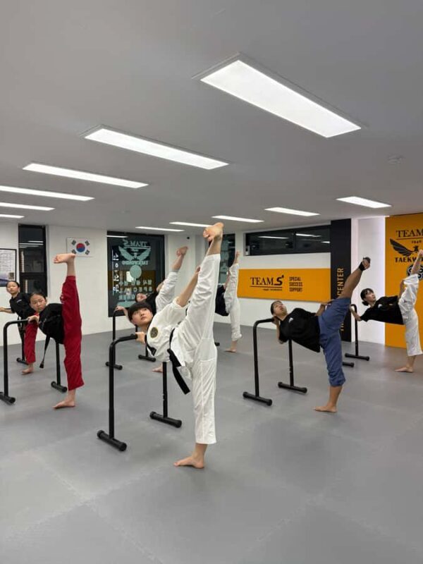 Seoul: Taekwondo Experience with National Champion - Practical Tips for Participants