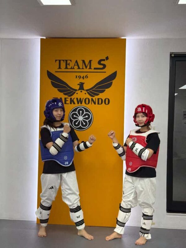 Seoul: Taekwondo Experience with National Champion - Who Should Consider This Experience?