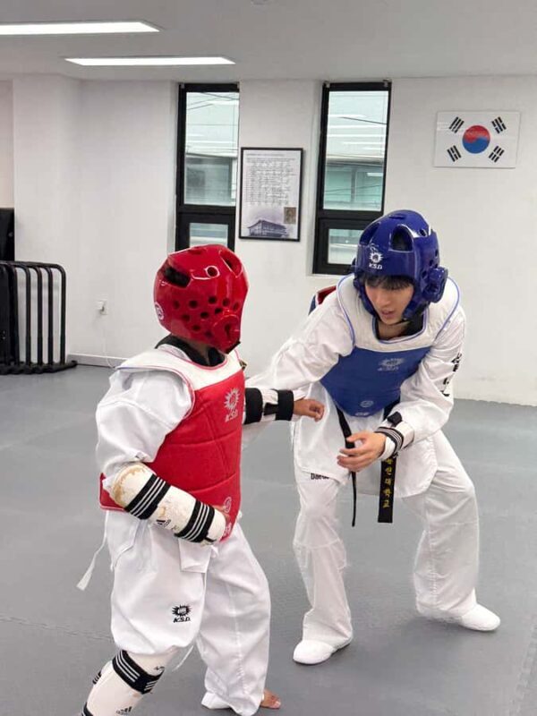 Seoul: Taekwondo Experience with National Champion - FAQs