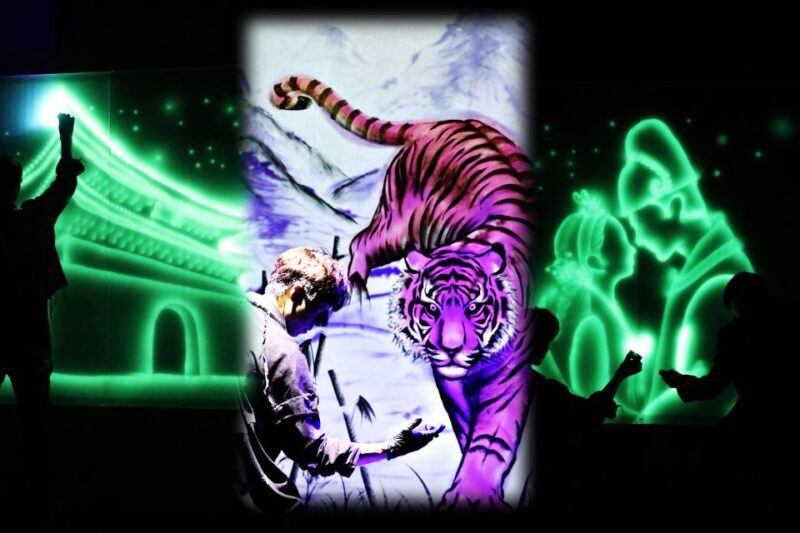 Seoul: The Painter Show with Nami Island - Practical Details and Value