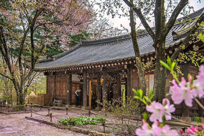 Seoul to Nami Island Round Trip Shuttle Bus Service - What to Expect