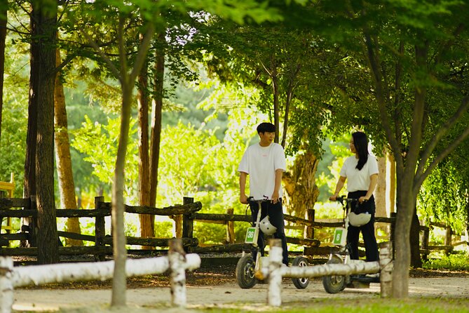 Seoul to Nami Island Round Trip Shuttle Bus Service - Lowest Price Guarantee
