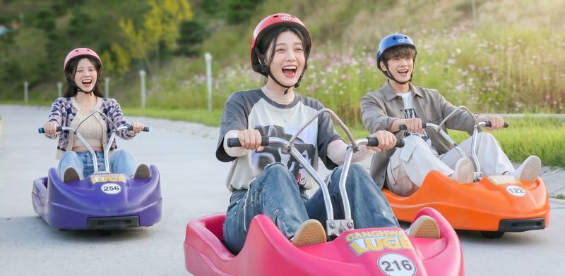 Seoul Tour | Autumn Flowers One Day Tour in Gyeonggi-do / Incheon - A full day that depends on good pacing