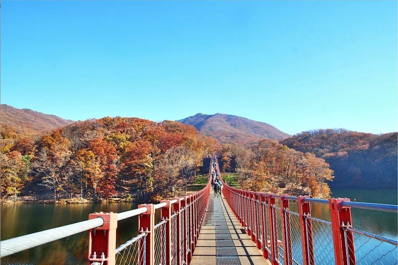 Seoul Tour | Autumn Flowers One Day Tour in Gyeonggi-do / Incheon - Who should book this tour