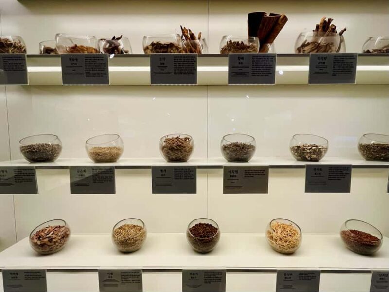 Seoul: True Locals' Street Food & Drink + Market Explore - Overall Impression