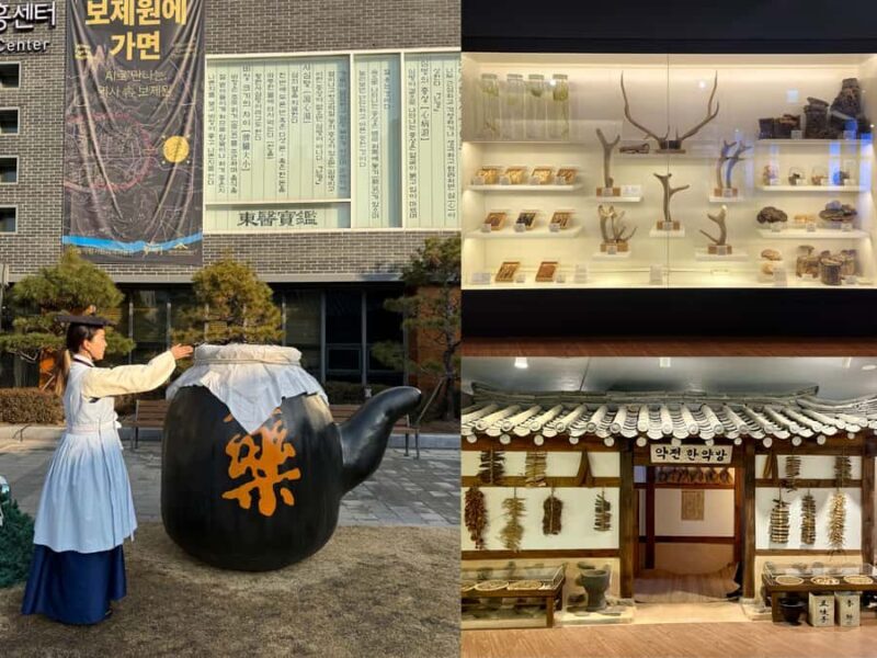 Seoul: True Locals' Street Food & Drink + Market Explore - Discover Seoul’s Hidden Market Gems and Street Food on a Private Tour