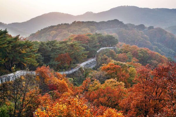 Seoul: UNESCO Namhansanseong & Starlight Garden Night View - Customer Testimonials and Feedback