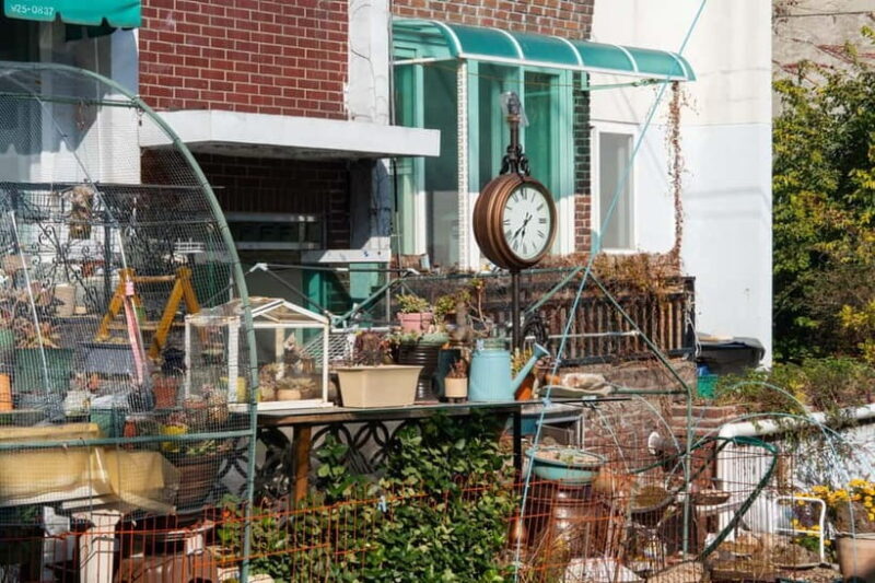 Seoul Unveiled: Untold Stories & Lost Histories Tour - Good To Know