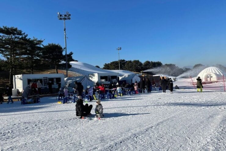 Seoul: Vivaldi Park - Snowy Land & Ice Fishing Festival - Highlights of the Trip