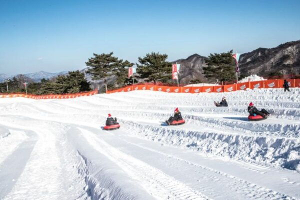 Seoul: Vivaldi Park - Snowy Land & Ice Fishing Festival - Common Questions
