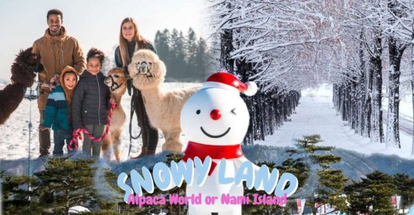 Seoul: Vivaldi Park-Snowy Land With Alpaca World/Nami Island - Common Questions
