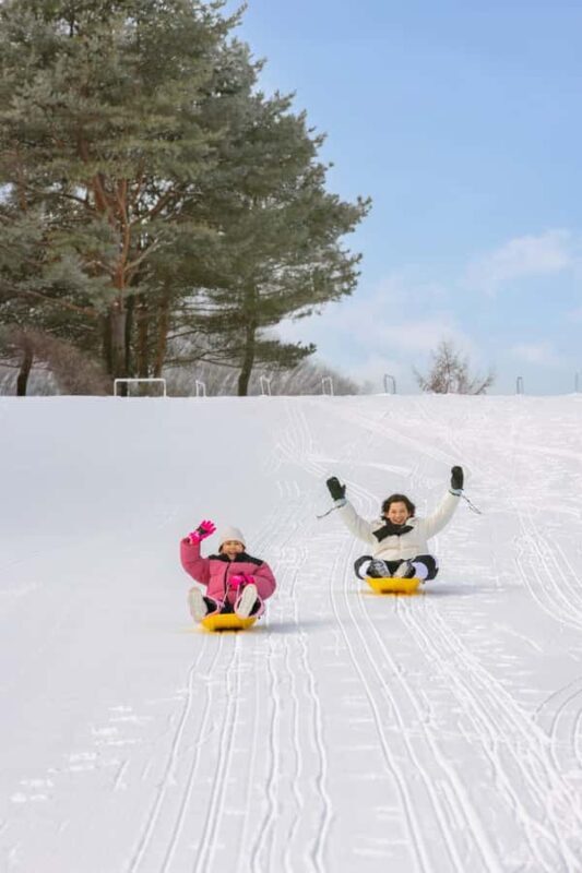 Seoul: Vivaldi Park Tickets for Snowyland Access, Shuttle - FAQ