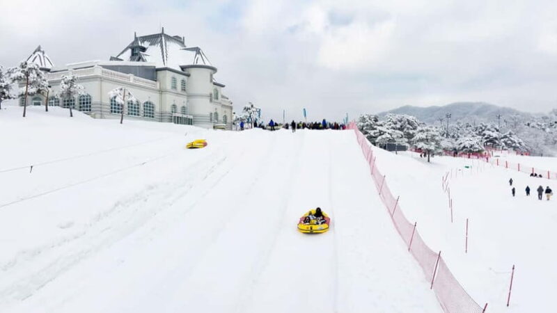 Seoul: Vivaldi Park Winter Ski with Nami Island Day Tour - Seoul: Vivaldi Park Winter Ski with Nami Island Day Tour