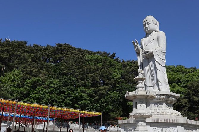 Seoul Walking Tour With Mt. Inwang Hike - Cultural Sites Along the Route