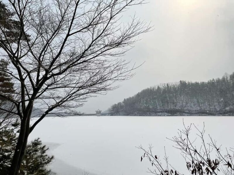 Seoul: Winter Day Tour in Pocheon with Strawberry Picking - Who Should Consider This Tour?