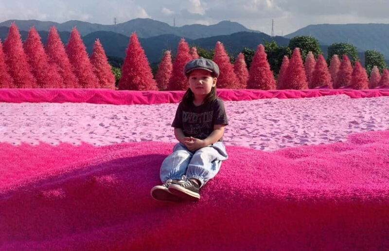 Seoul: Winter Day Tour in Pocheon with Strawberry Picking - The Sum Up