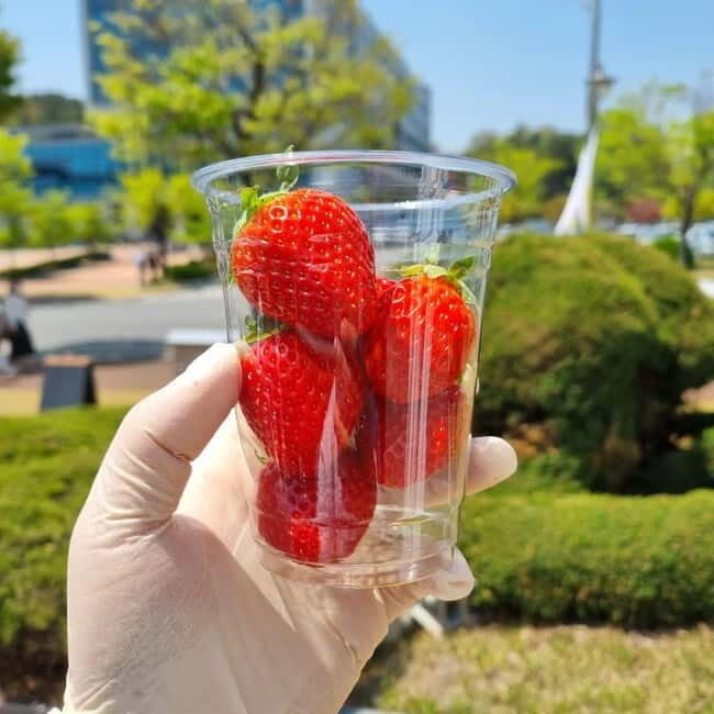 Seoul: Winter Day Tour in Pocheon with Strawberry Picking - Good To Know
