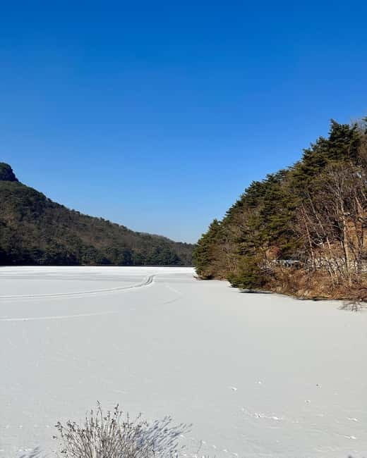 Seoul: Winter Day Tour in Pocheon with Strawberry Picking - An In-Depth Look at the Pocheon Day Tour