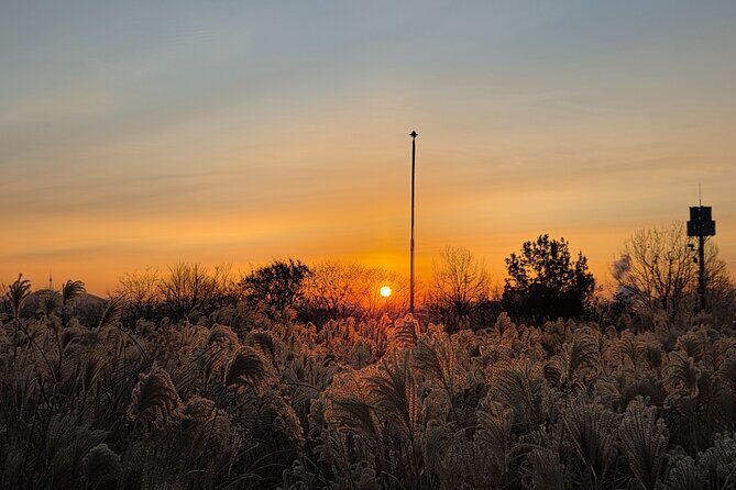 Seoul Winter Sunrise New Year Morning Experience - Final Thoughts: Why You Should Consider This Tour