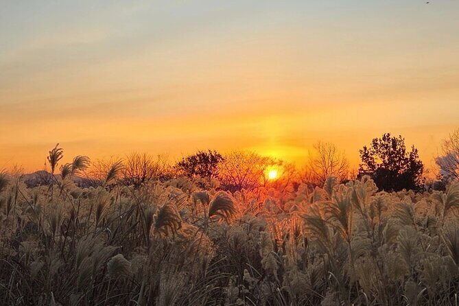 Seoul Winter Sunrise New Year Morning Experience - Transportation, Timing, and Group Size