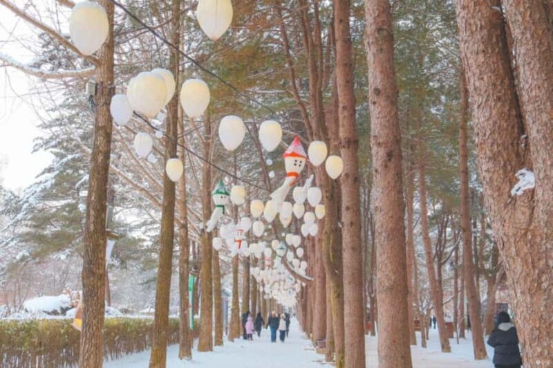 Seoul: Winter Wonder, Mt. Seorak & Nami island & Eobi Valley - Who Should Consider This Tour?