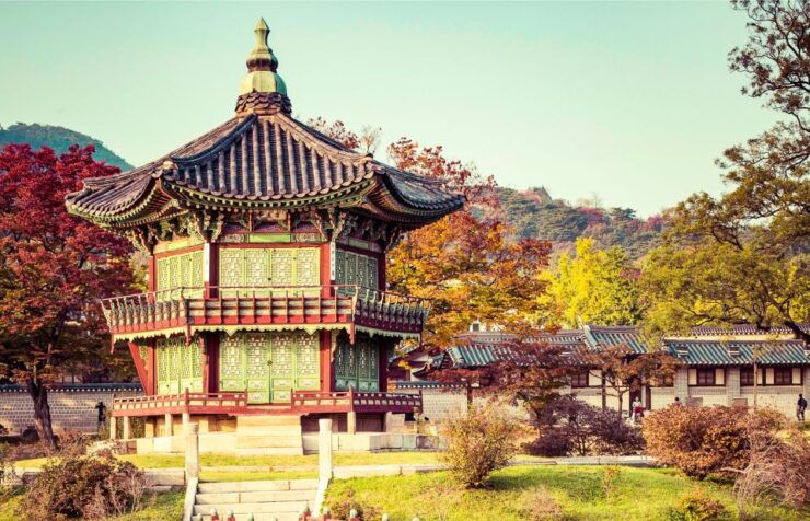 Seoul Your Way: Private Custom Experience With a Local Guide - Activity Details