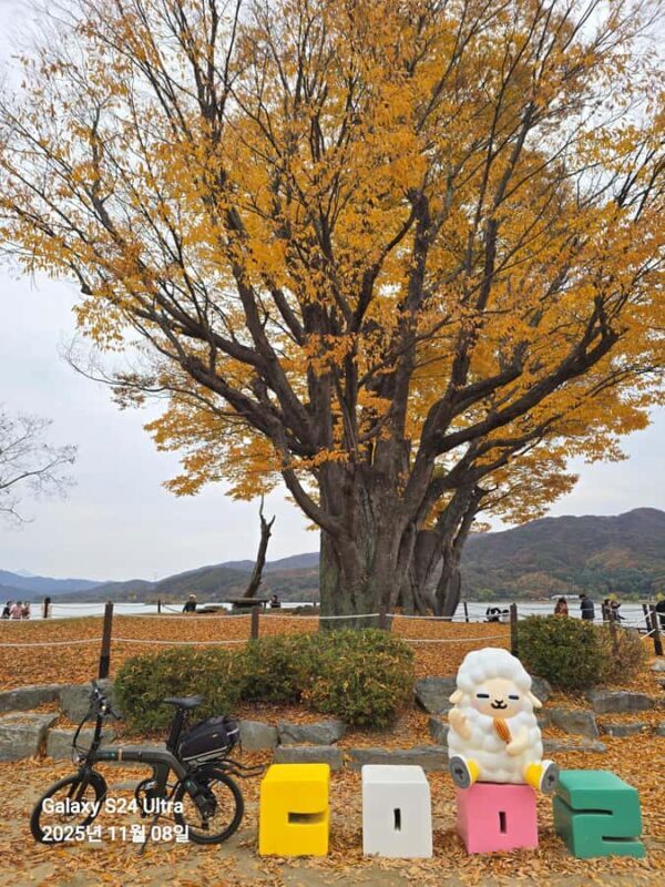 Seoul:Yangpyeong Day Trip with Dumulmeori & Yongmunsa Temple - Introduction: A Perfect Day Out of Seoul