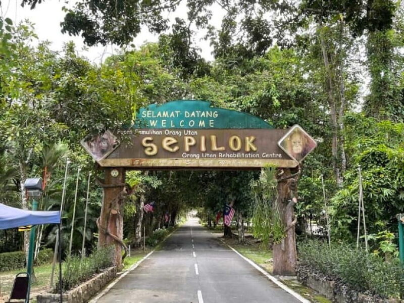 Sepilok OrangUtan, Sun Bear & Labuk Bay Full Day Trip - What You Can Expect from the Tour