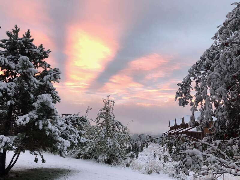 September 2025 British Columbia Rocky Mountain Birding Tour - An Overview of the British Columbia Rocky Mountain Birding Tour