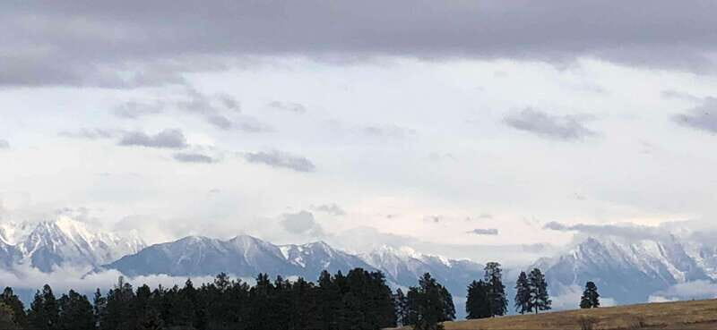 September 2025 British Columbia Rocky Mountain Birding Tour - What to Expect During the Tour