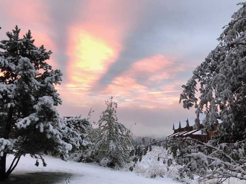 September 2025 British Columbia Rocky Mountain Birding Tour - Transportation and Group Size