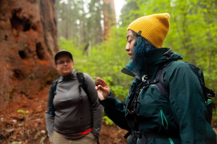 Sequoia & Kings Canyon National Parks: Two-Day Private Tour - Tour Details