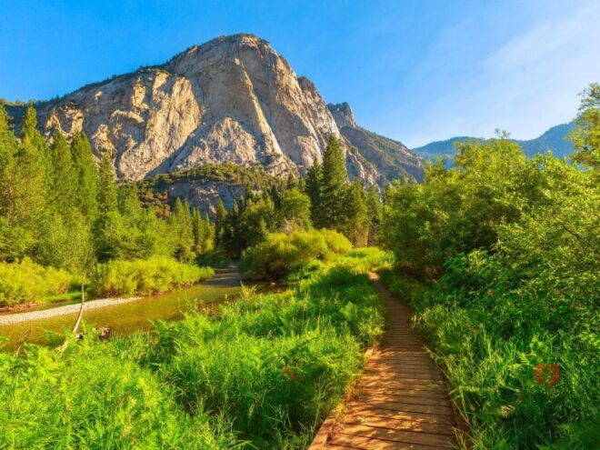 Sequoia & Kings Canyon: Self-Guided Audio Driving Tour - Important Information and Pricing