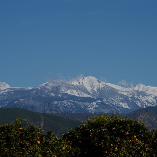 Sequoia National Park: Sherman Tree & Congress Trail Walk - Exploring the Itinerary in Detail