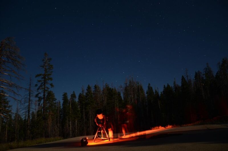 Sequoia National Park: Sherman Tree & Congress Trail Walk - Who Will Love This Experience?