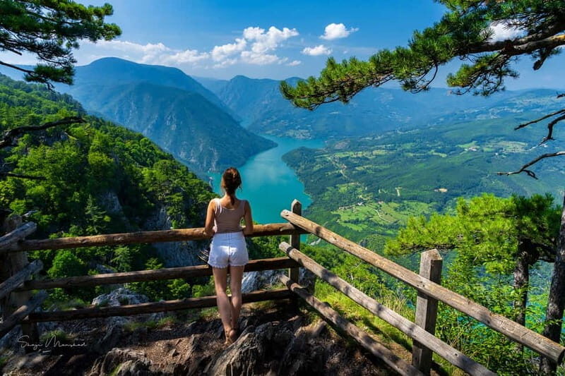 Serbia: Drina River House & Tara National Park Full Day Tour - What Makes This Tour Stand Out