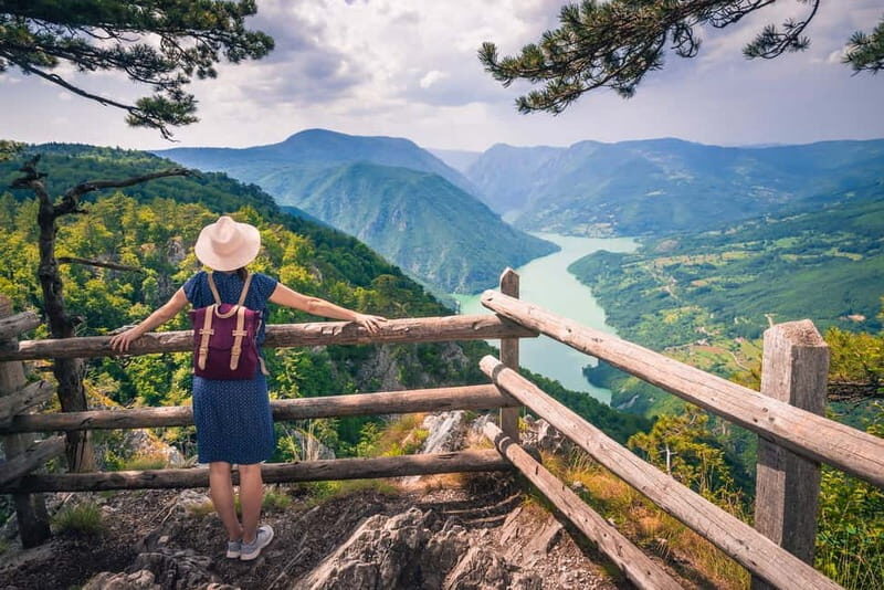 Serbia: Drina River House & Tara National Park Full Day Tour - How Does It Compare in Value and Experience?