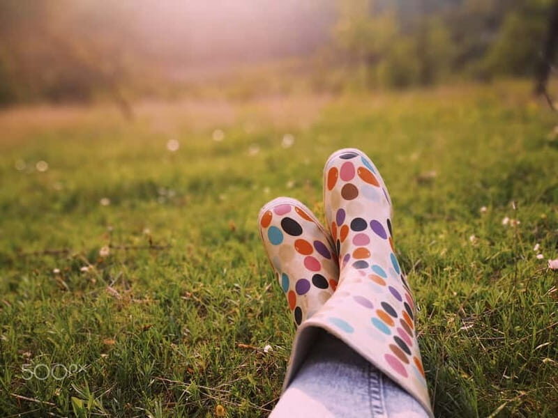 Serbia: Drina River House & Tara National Park Full Day Tour - Authentic Insights from Past Travelers