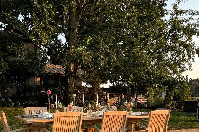 Serene and Romantic Wine Tasting Next to the Vines in Napa Valley - Who Should Consider This Tour?  