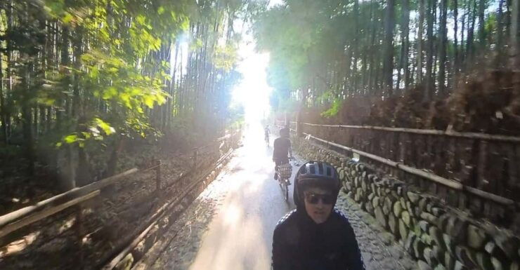 Serene Cycling in Arashiyama: Electric Bike Tour With Guide - Highlights of the Experience
