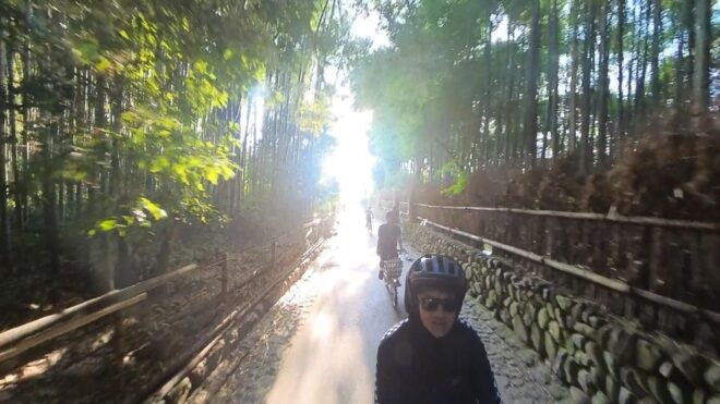 Serene Cycling in Arashiyama: Electric Bike Tour With Guide - Eco-Friendly Cycling