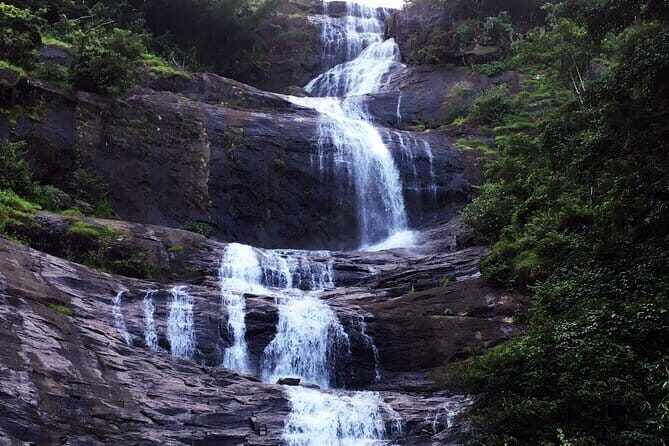 Serene Munnar Retreat: Private Tour from Kochi to the Munnar Hill - Final Thoughts: Is This Tour Worth It?