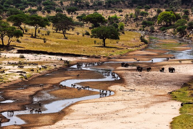 Serengeti Great Wildebeest Migration - 5 Days Tanzania Safari - Accommodation Details