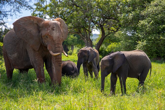 Serengeti Inside Out - Inclusions and Meals