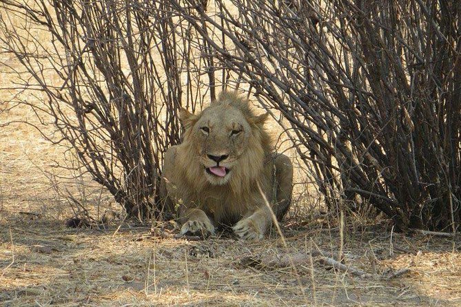 Serengeti N. Park_ Lake Manyara and Tarangire National Park - Booking Information