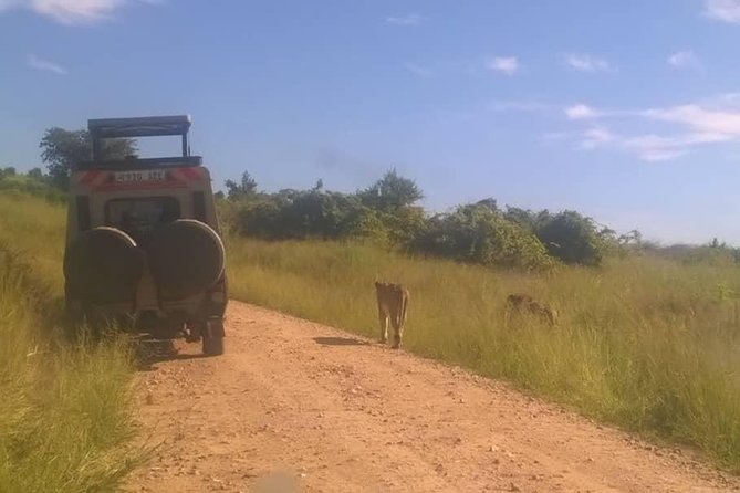 Serengeti N. Park_ Lake Manyara and Tarangire National Park - The Sum Up